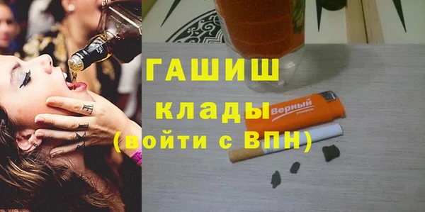 крисы Кулебаки