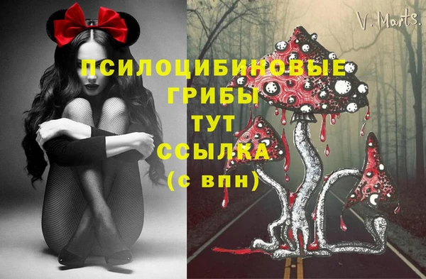 МДПВ Куйбышев