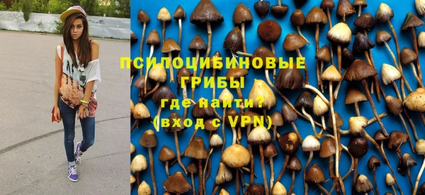 ПСИЛОЦИБИНОВЫЕ ГРИБЫ Кукмор