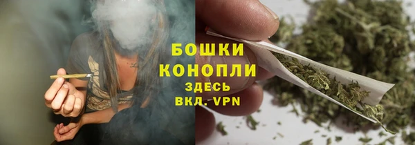крисы Кулебаки