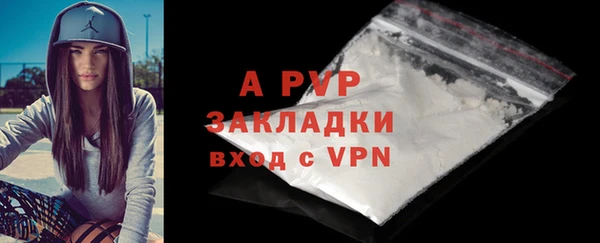 ПСИЛОЦИБИНОВЫЕ ГРИБЫ Кукмор