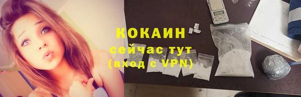 крисы Кулебаки