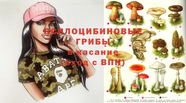ПСИЛОЦИБИНОВЫЕ ГРИБЫ Кукмор