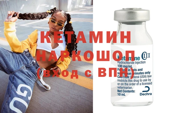 крисы Кулебаки