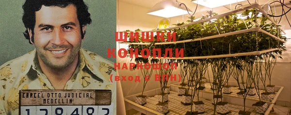 крисы Кулебаки