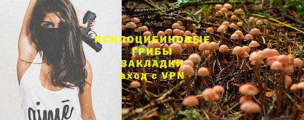 ПСИЛОЦИБИНОВЫЕ ГРИБЫ Кукмор