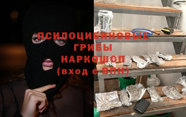 крисы Кулебаки