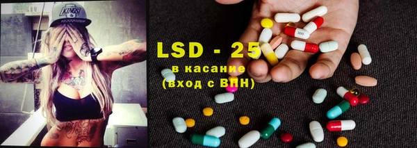крисы Кулебаки