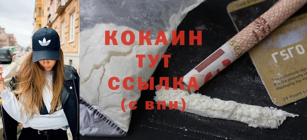 крисы Кулебаки