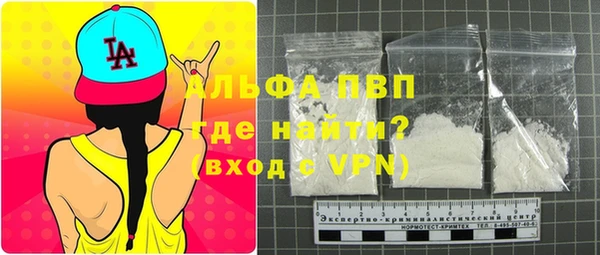 ПСИЛОЦИБИНОВЫЕ ГРИБЫ Кукмор