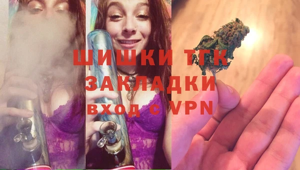 крисы Кулебаки