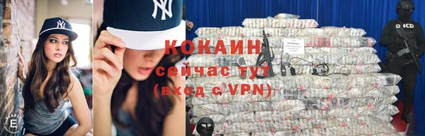 крисы Кулебаки