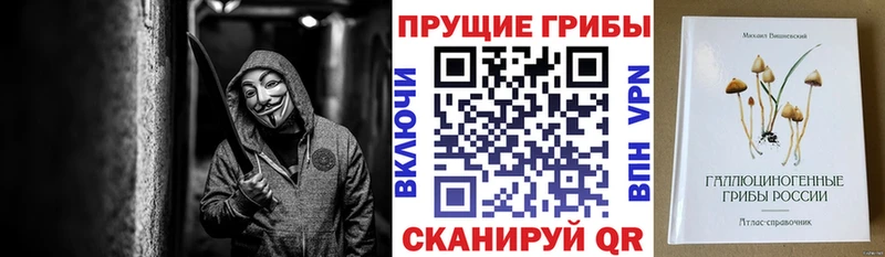 Купить  Красноуральск  Псилоцибиновые грибы Psilocybine cubensis 